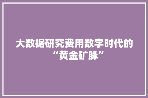 大数据研究费用数字时代的“黄金矿脉”
