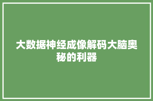 大数据神经成像解码大脑奥秘的利器