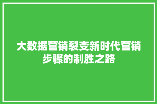 大数据营销裂变新时代营销步骤的制胜之路