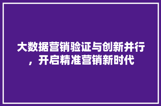 大数据营销验证与创新并行，开启精准营销新时代