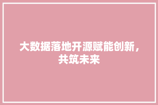 大数据落地开源赋能创新，共筑未来