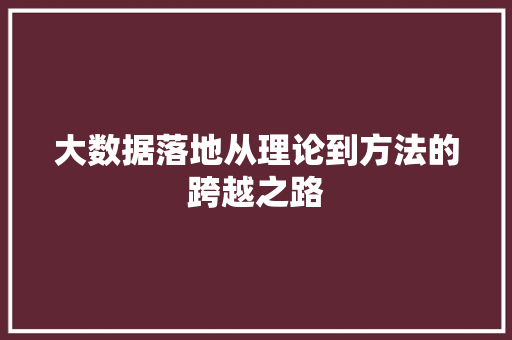 大数据落地从理论到方法的跨越之路