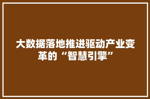 大数据落地推进驱动产业变革的“智慧引擎”