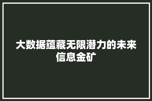 大数据蕴藏无限潜力的未来信息金矿