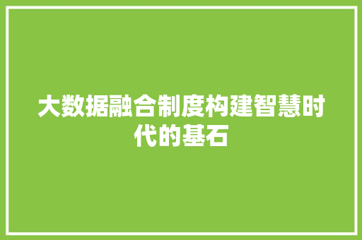 大数据融合制度构建智慧时代的基石