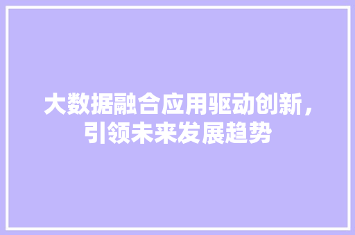 大数据融合应用驱动创新，引领未来发展趋势