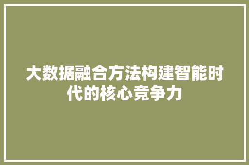 大数据融合方法构建智能时代的核心竞争力