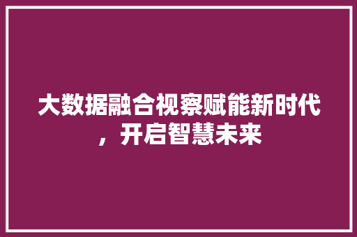 大数据融合视察赋能新时代，开启智慧未来