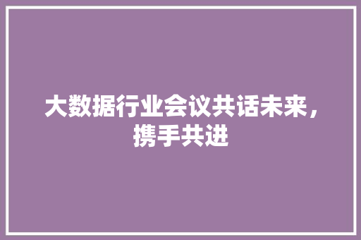 大数据行业会议共话未来，携手共进