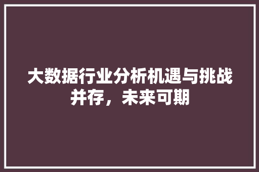 大数据行业分析机遇与挑战并存，未来可期