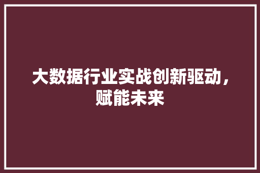 大数据行业实战创新驱动，赋能未来