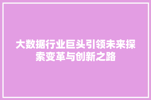 大数据行业巨头引领未来探索变革与创新之路