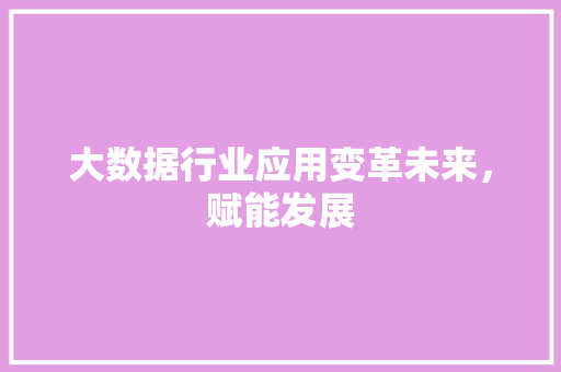 大数据行业应用变革未来，赋能发展