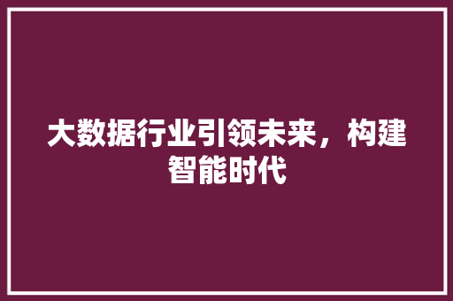 大数据行业引领未来，构建智能时代
