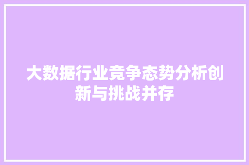 大数据行业竞争态势分析创新与挑战并存