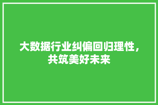 大数据行业纠偏回归理性，共筑美好未来