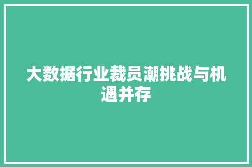 大数据行业裁员潮挑战与机遇并存