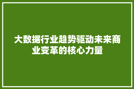 大数据行业趋势驱动未来商业变革的核心力量