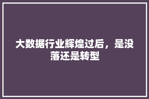 大数据行业辉煌过后，是没落还是转型