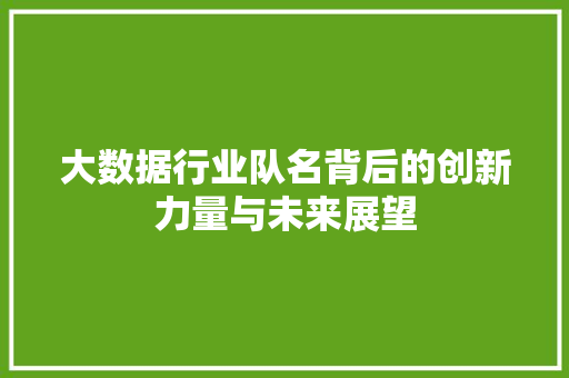 大数据行业队名背后的创新力量与未来展望