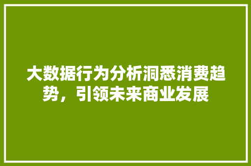 大数据行为分析洞悉消费趋势，引领未来商业发展