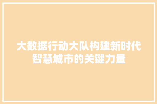 大数据行动大队构建新时代智慧城市的关键力量