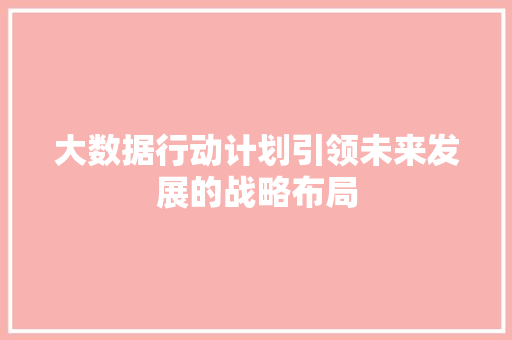 大数据行动计划引领未来发展的战略布局