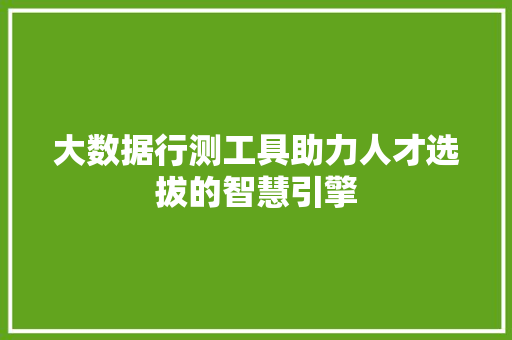大数据行测工具助力人才选拔的智慧引擎