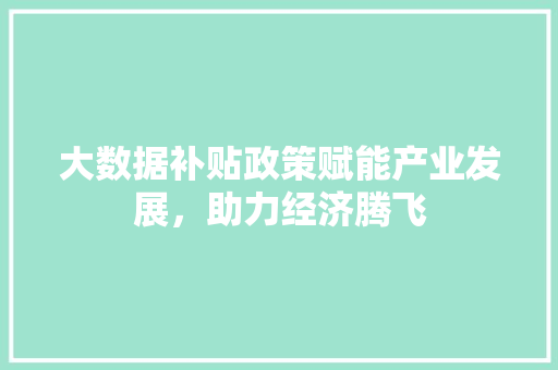 大数据补贴政策赋能产业发展，助力经济腾飞