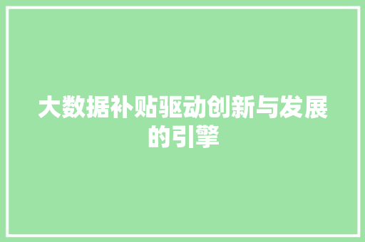 大数据补贴驱动创新与发展的引擎