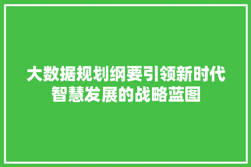 大数据规划纲要引领新时代智慧发展的战略蓝图