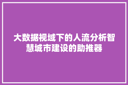 大数据视域下的人流分析智慧城市建设的助推器