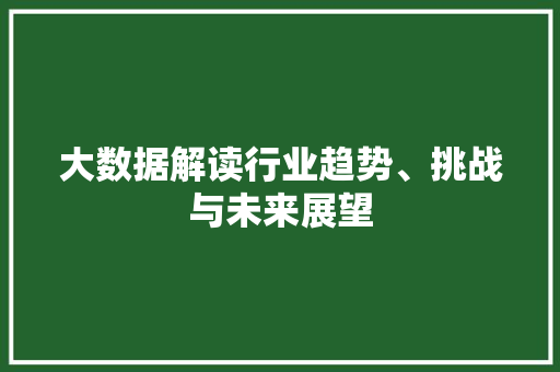 大数据解读行业趋势、挑战与未来展望