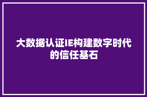 大数据认证IE构建数字时代的信任基石