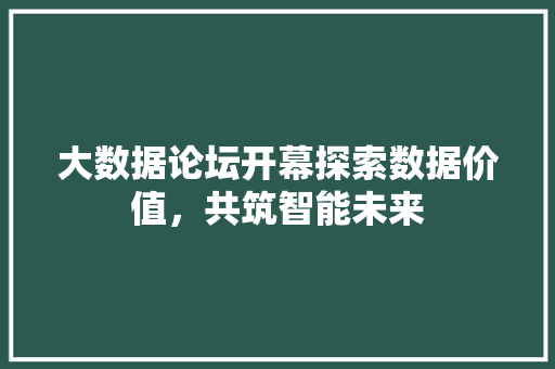 大数据论坛开幕探索数据价值，共筑智能未来