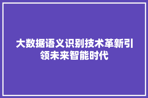 大数据语义识别技术革新引领未来智能时代