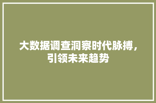 大数据调查洞察时代脉搏，引领未来趋势