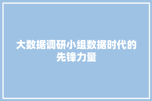 大数据调研小组数据时代的先锋力量