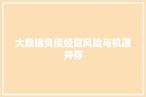 大数据负债经营风险与机遇并存