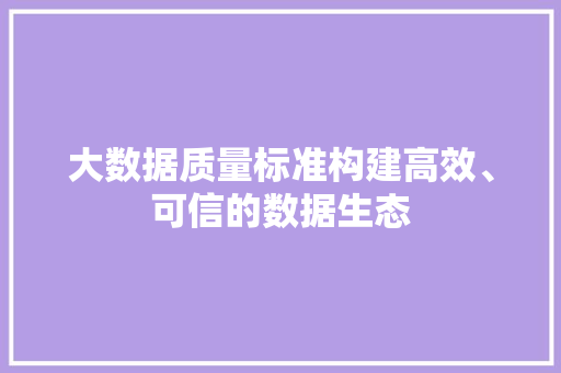 大数据质量标准构建高效、可信的数据生态