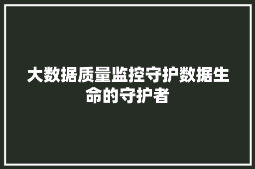 大数据质量监控守护数据生命的守护者