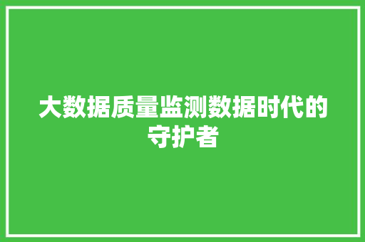 大数据质量监测数据时代的守护者