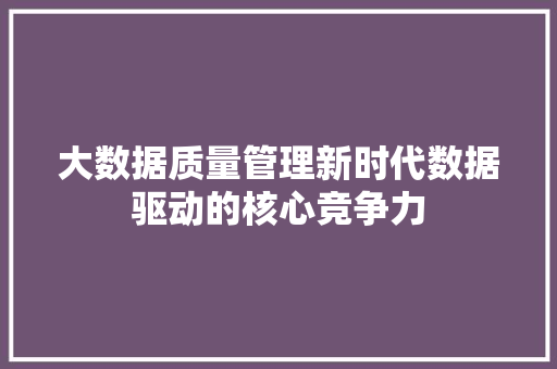大数据质量管理新时代数据驱动的核心竞争力