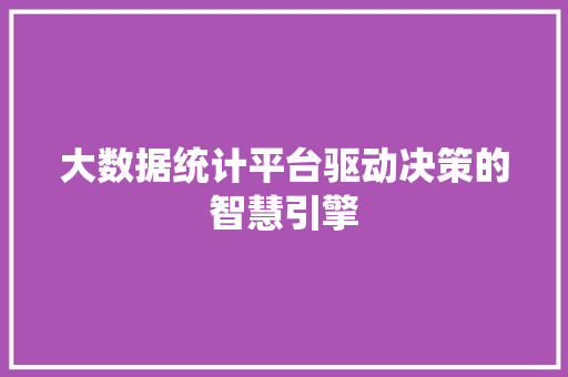 大数据统计平台驱动决策的智慧引擎