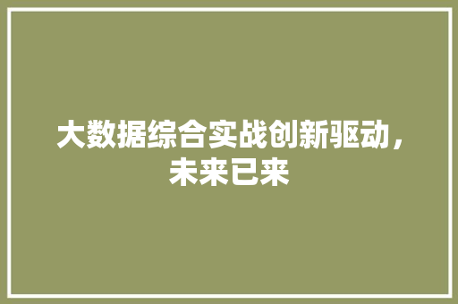大数据综合实战创新驱动，未来已来