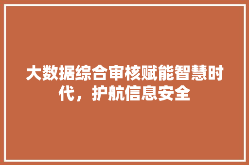 大数据综合审核赋能智慧时代，护航信息安全