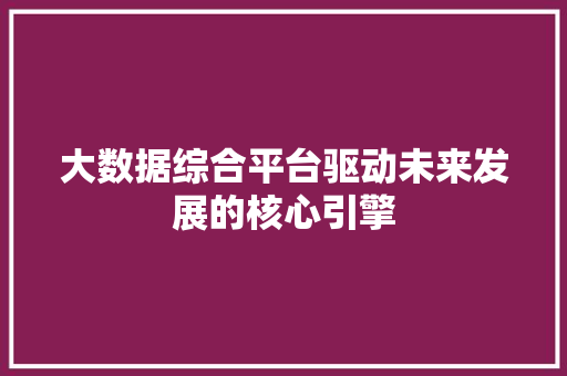 大数据综合平台驱动未来发展的核心引擎