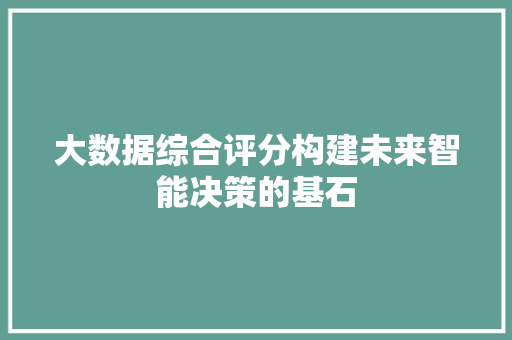 大数据综合评分构建未来智能决策的基石