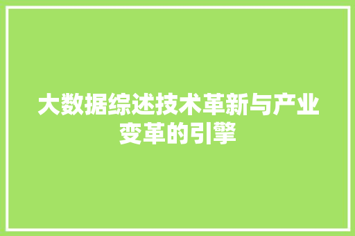 大数据综述技术革新与产业变革的引擎