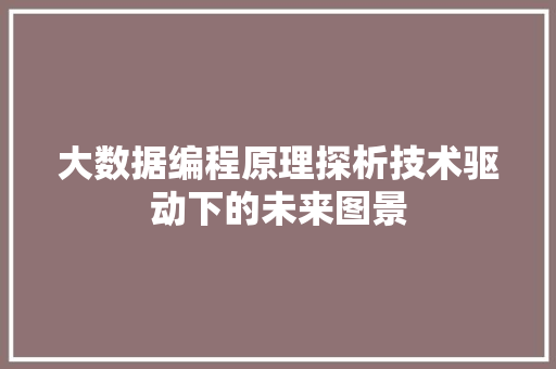 大数据编程原理探析技术驱动下的未来图景